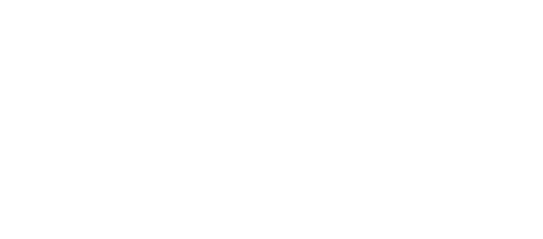 TikTok Shop Partner